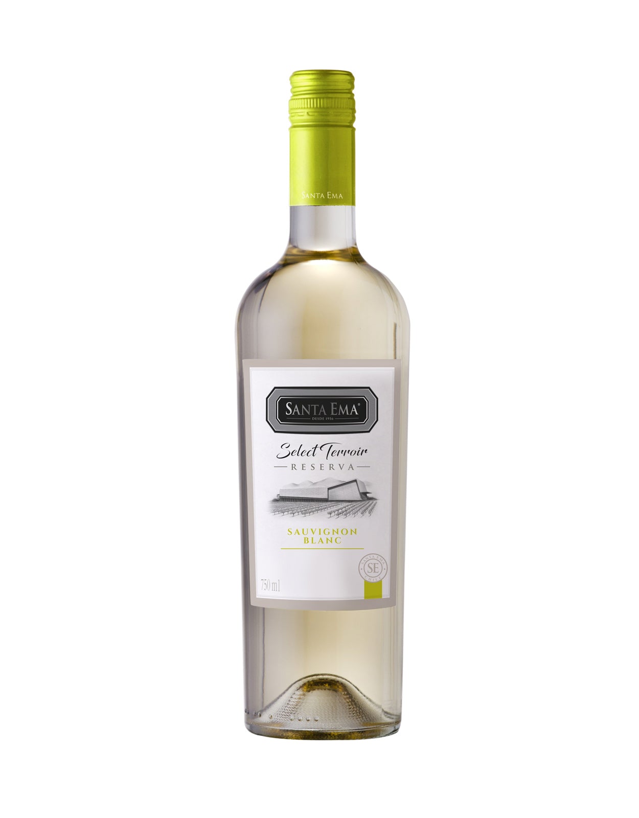 SANTA EMA SELECT TERRIOR SAUVIGNON BLANC