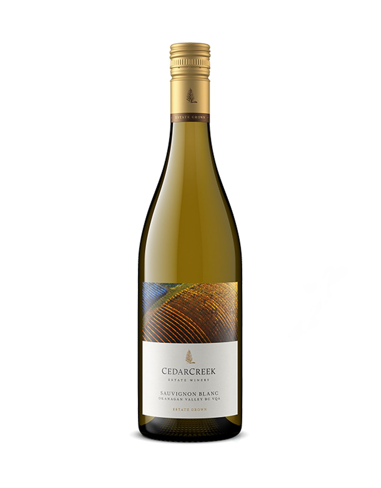 CEDAR CREEK SAUVIGNON BLANC             