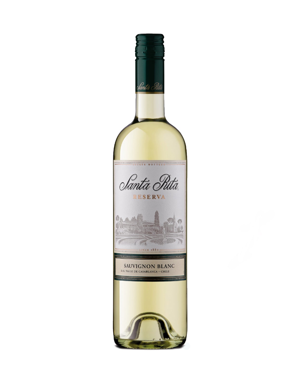 SANTA RITA RESERVA SAUVIGNON BLANC      