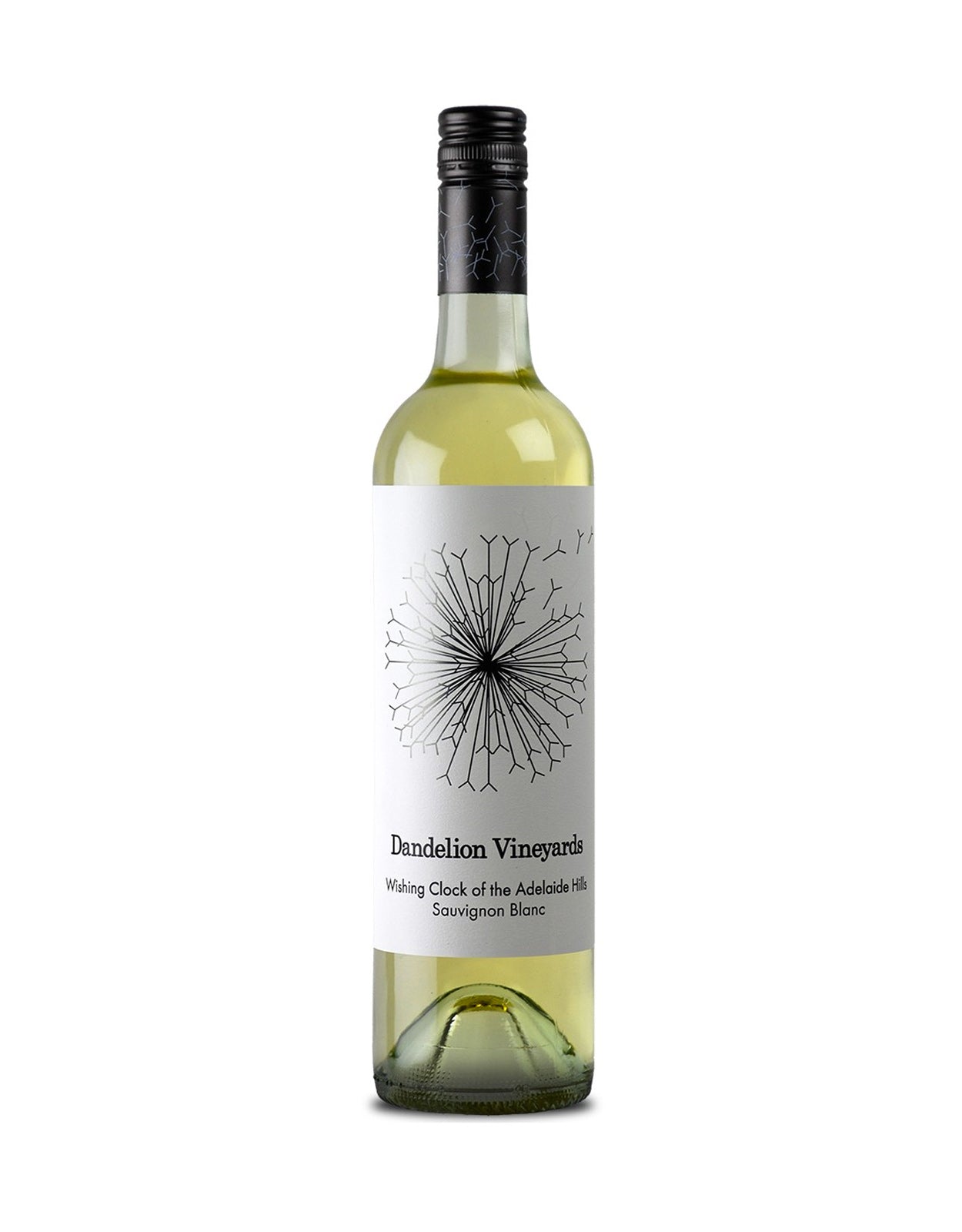 DANDELION WISHING CLOCK SAUVIGNON       