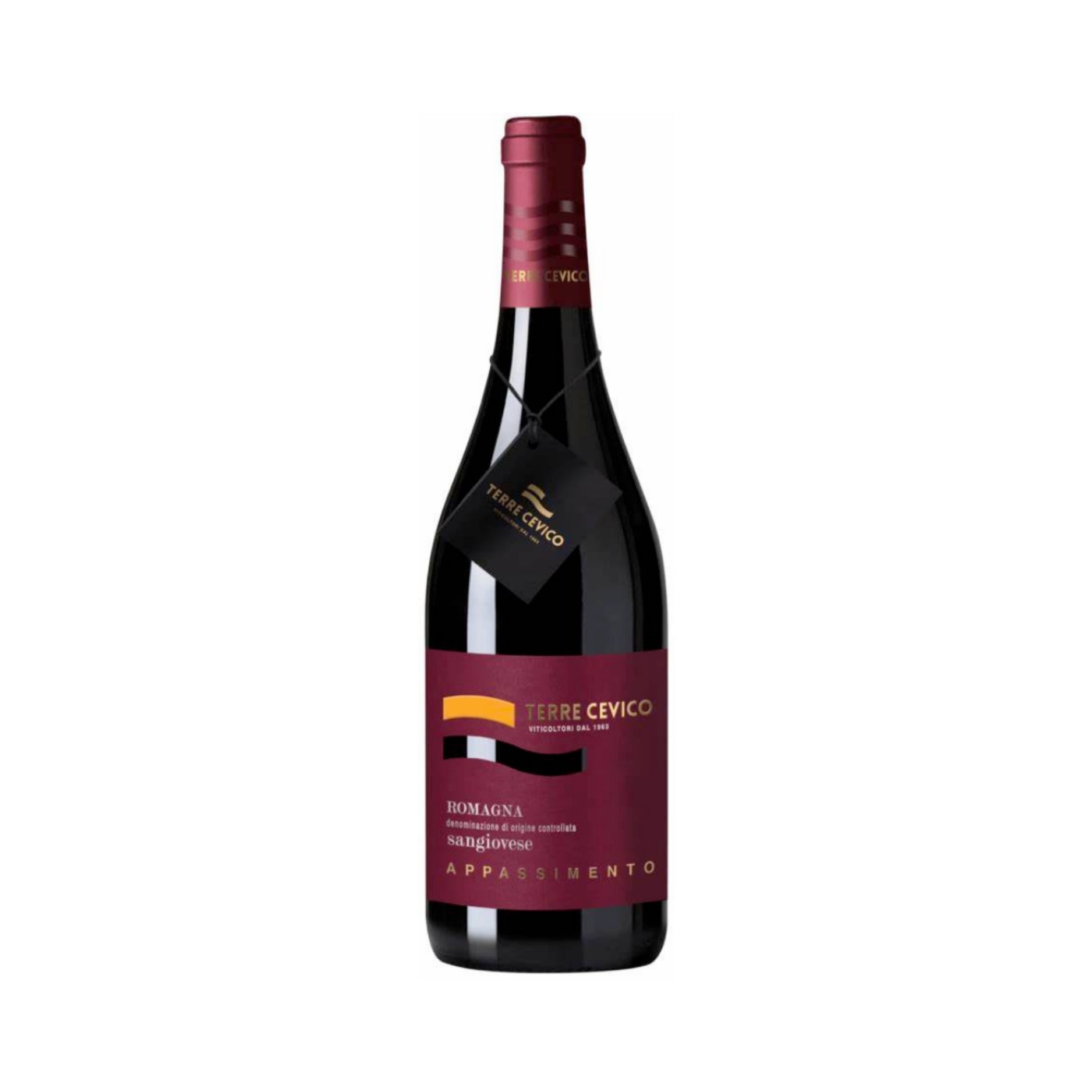 TERRE CEVICO APPASSIMENTO SANGIOVESE    