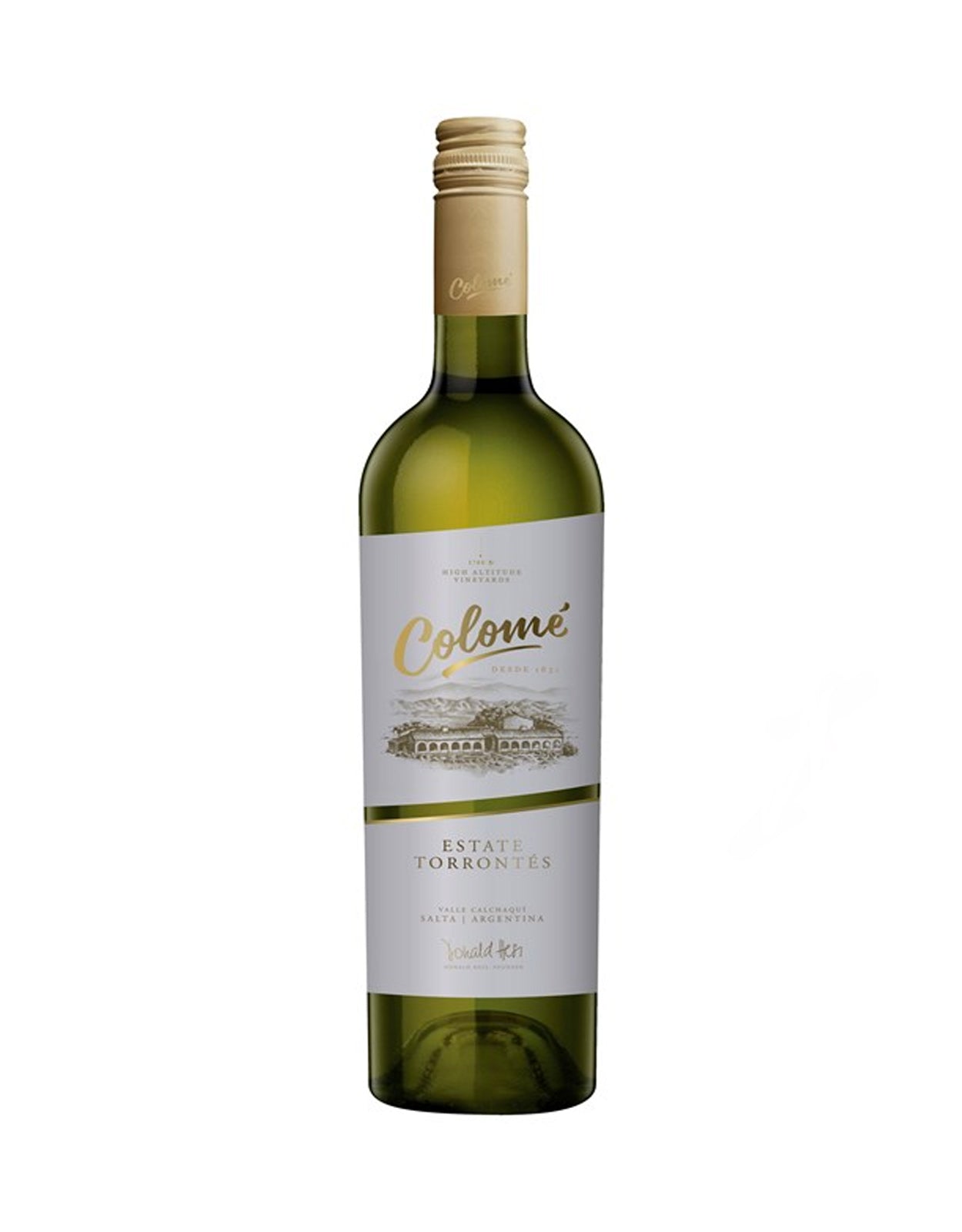 BODEGA COLOME TORRONTES                 