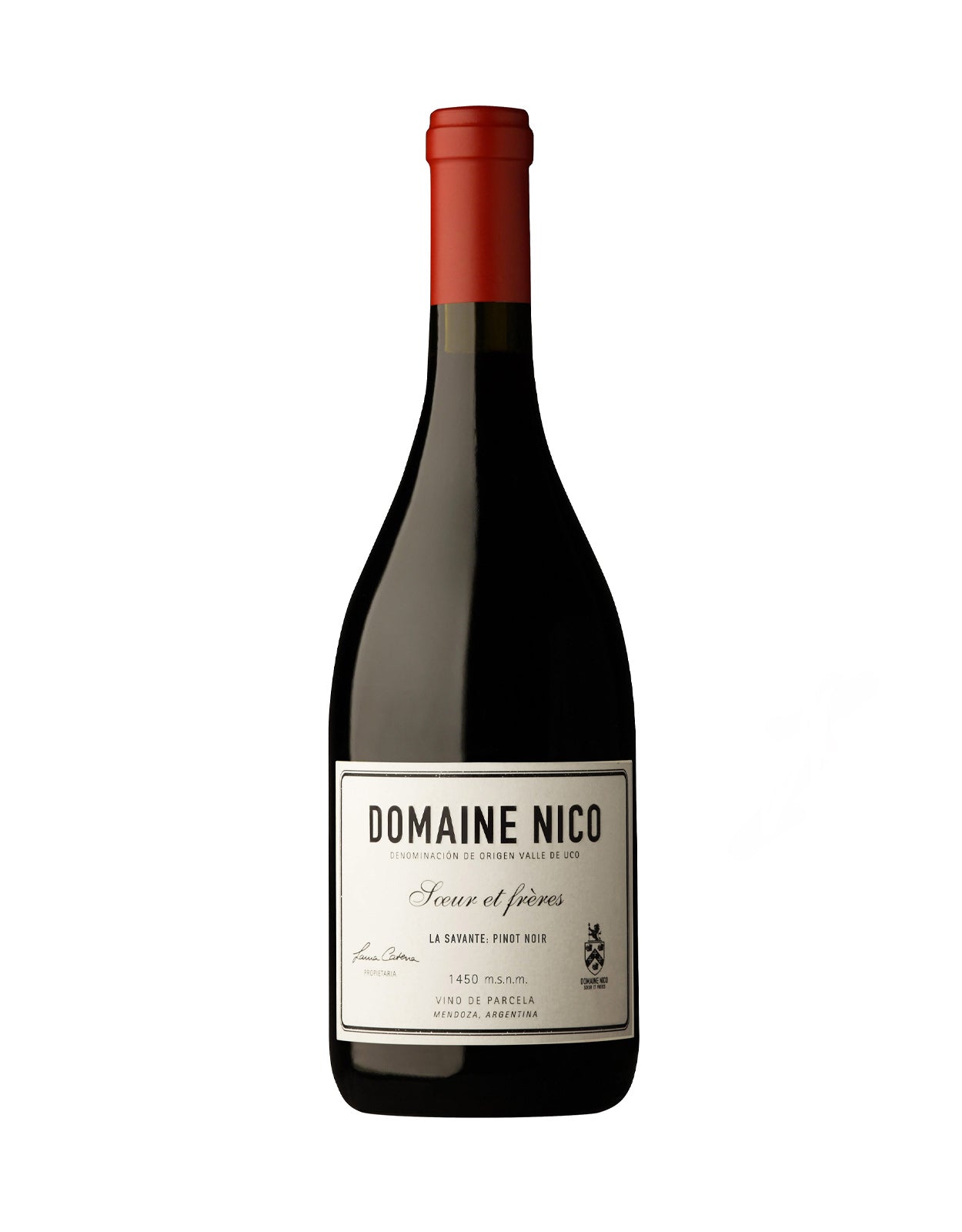 DOMAINE NICO LA SAVANTE                 