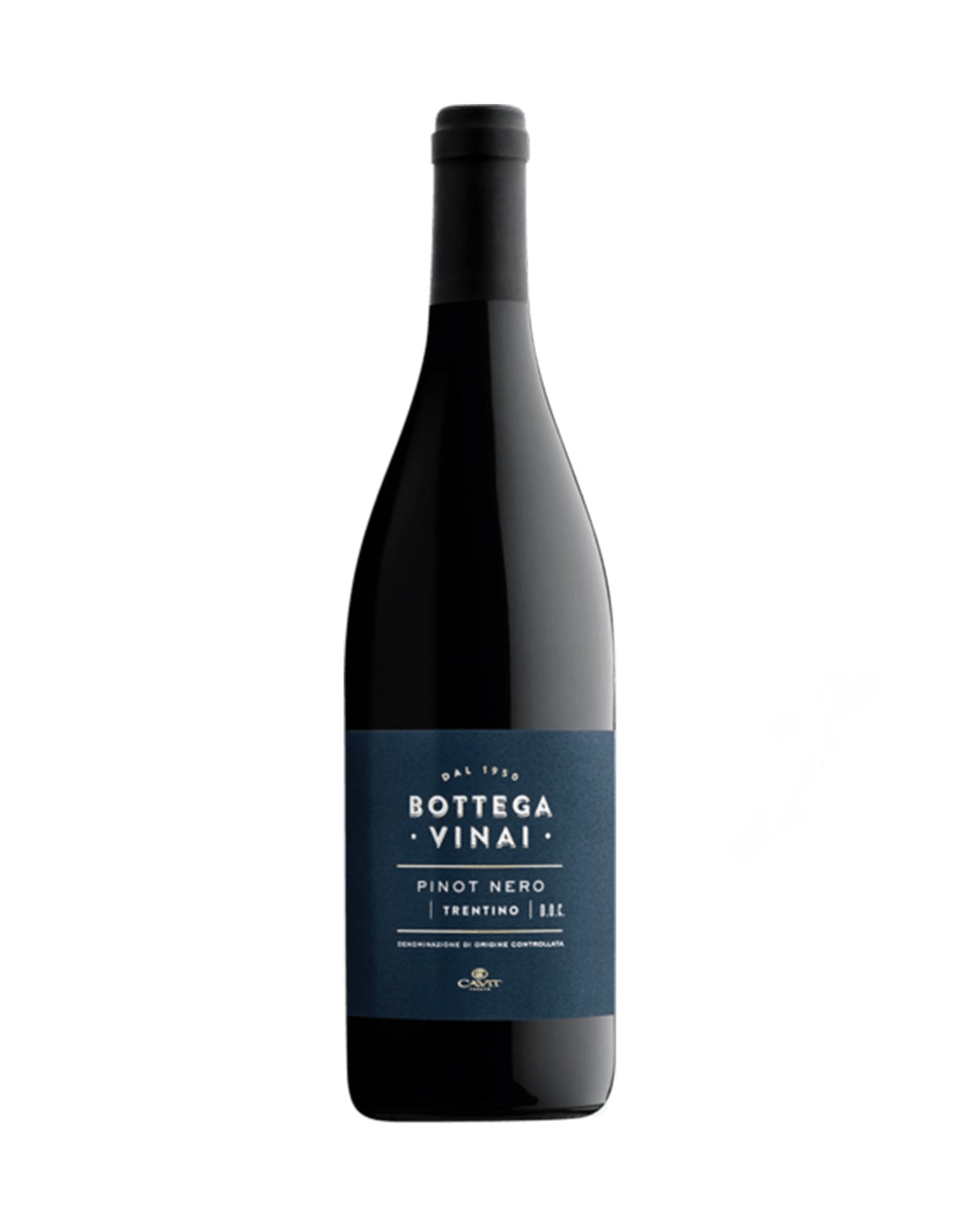BOTTEGA VINAI PINOT NERO                