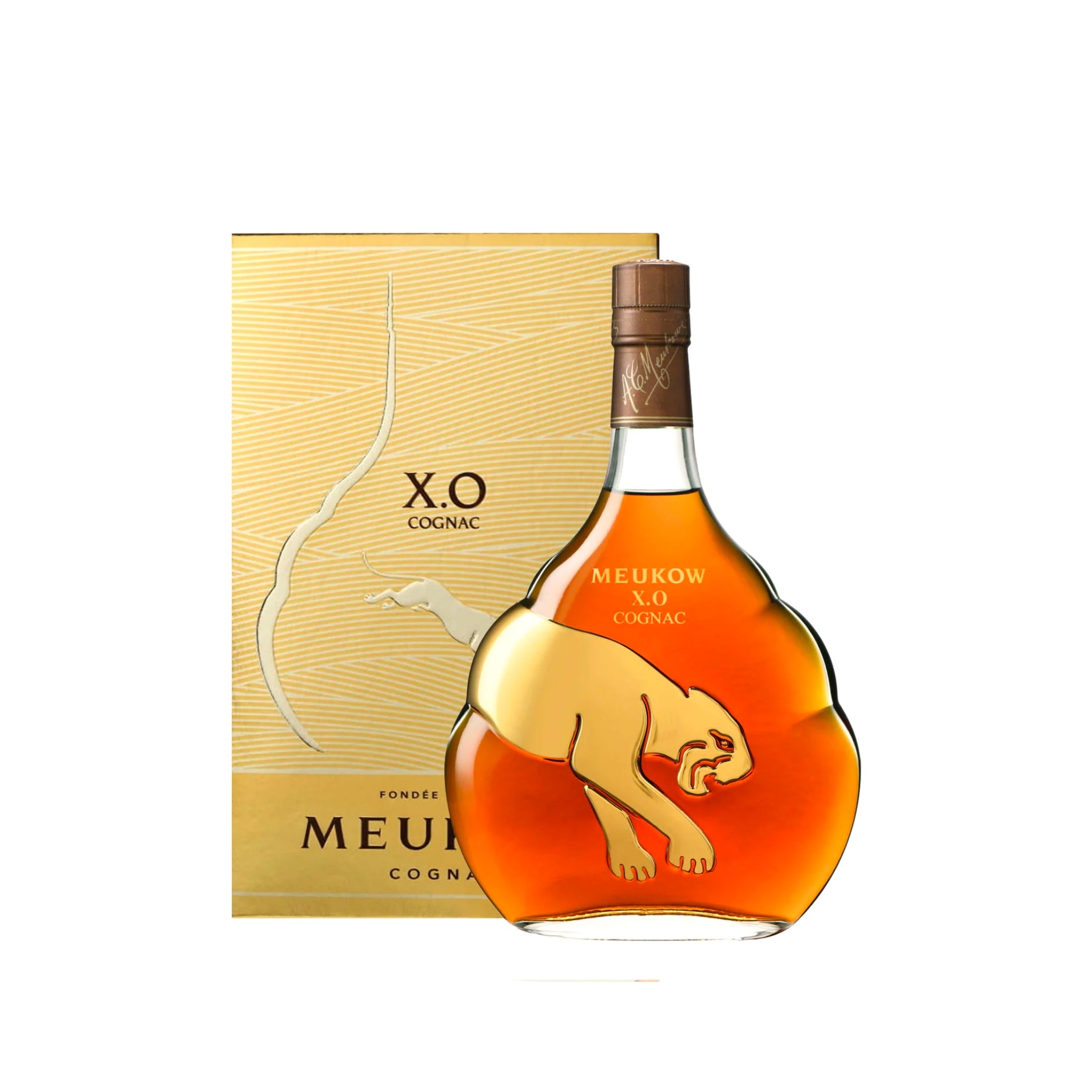 MEUKOW XO WITH GIFT BOX                 