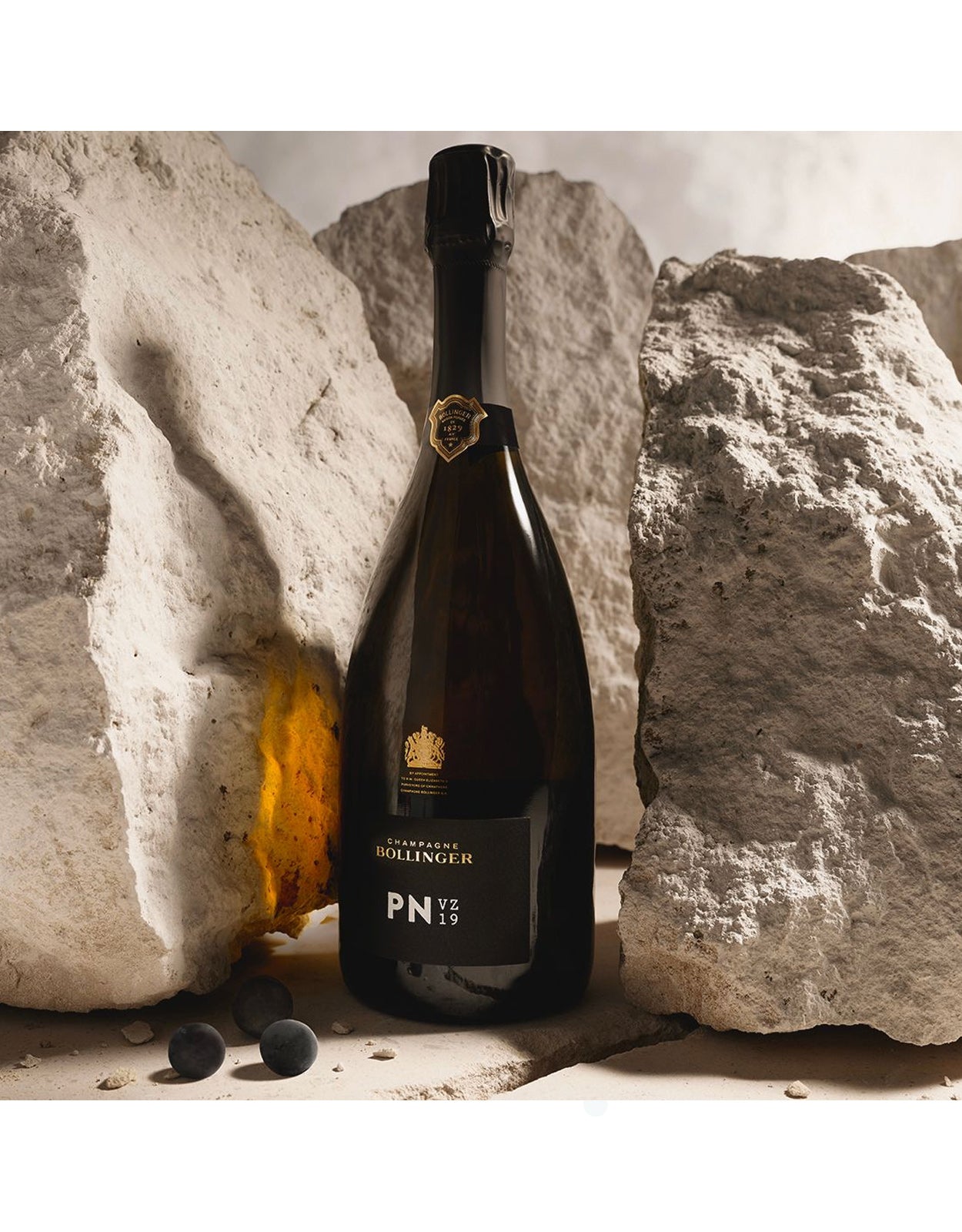 BOLLINGER PN VZ19                       
