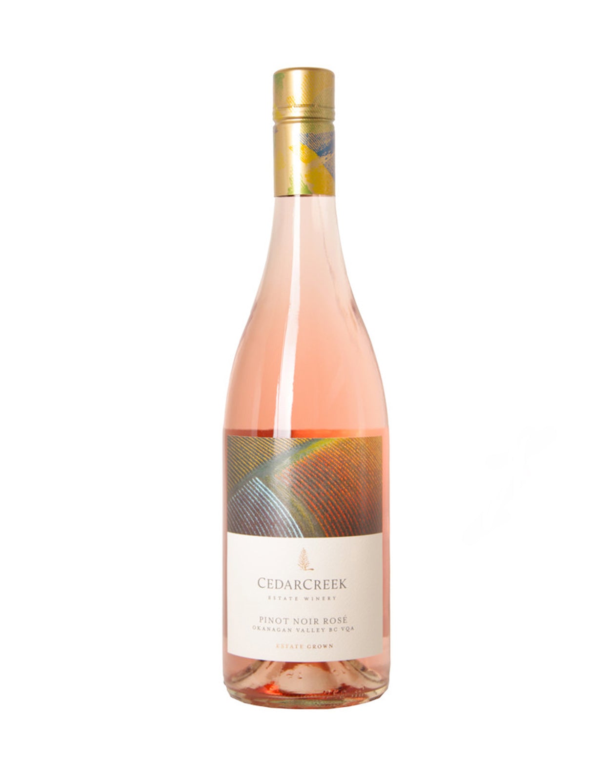 CEDARCREEK ROSE                         