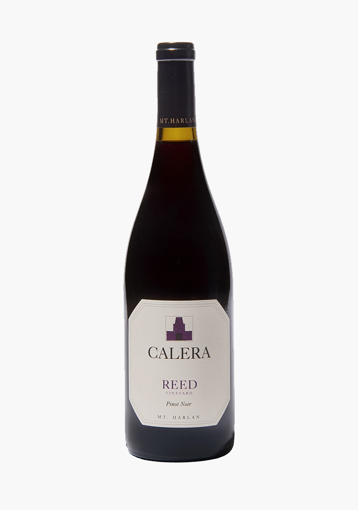 CALERA REED PINOT NOIR                  