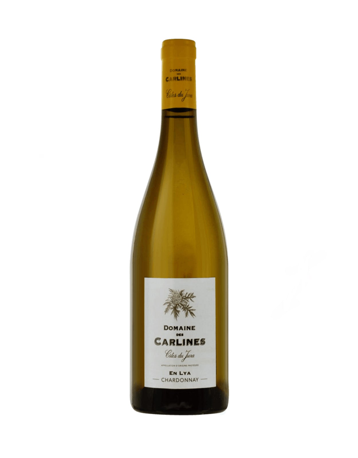 DOMAINE DES CARLINES EN LYA             