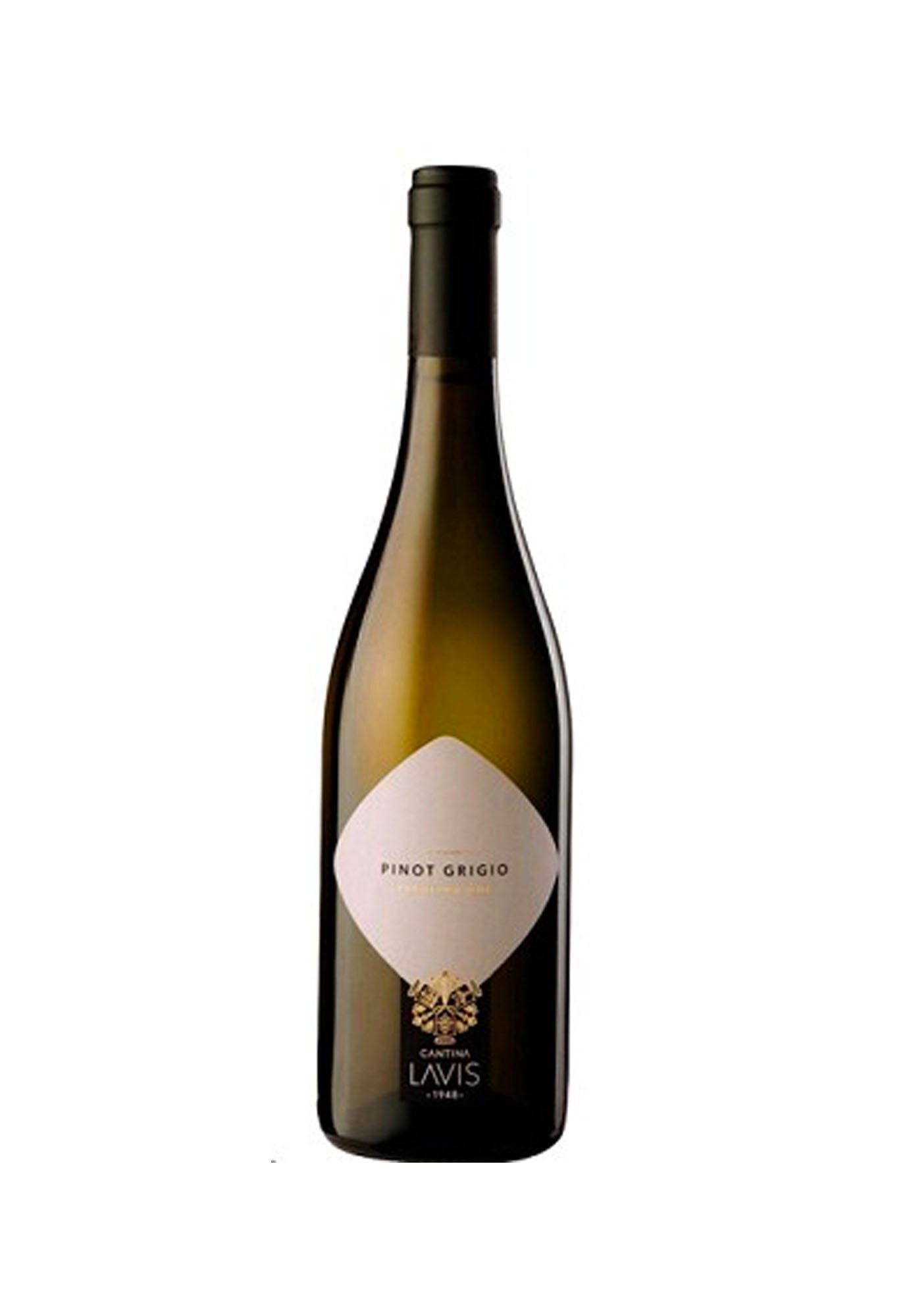 PINOT GRIGIO TRENTINO DOC CLASSICI      