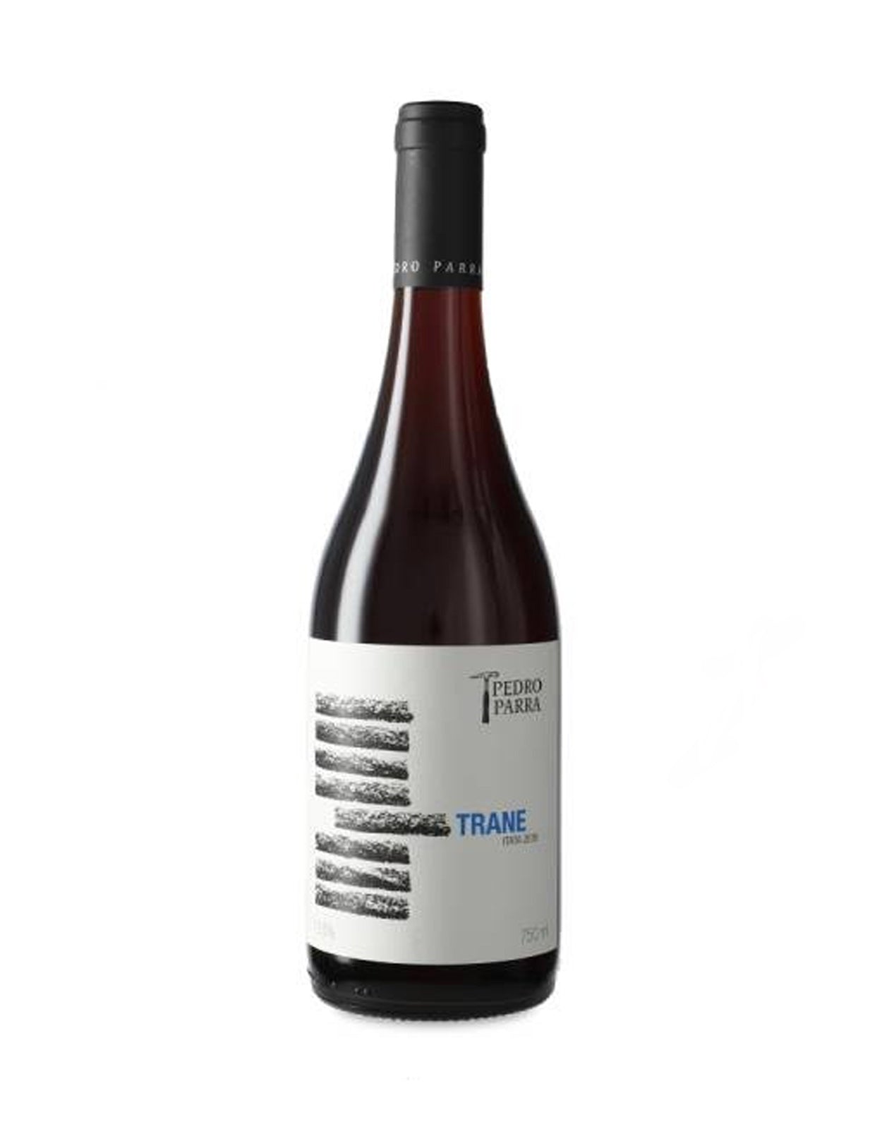 PEDRO PARRA Y FAMILIA TRANE CINSAULT    