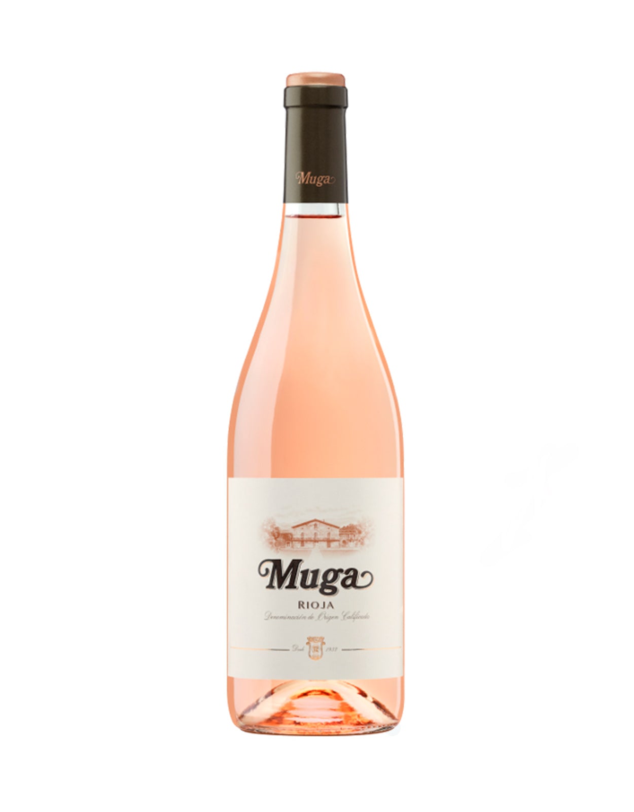 MUGA ROSE                               
