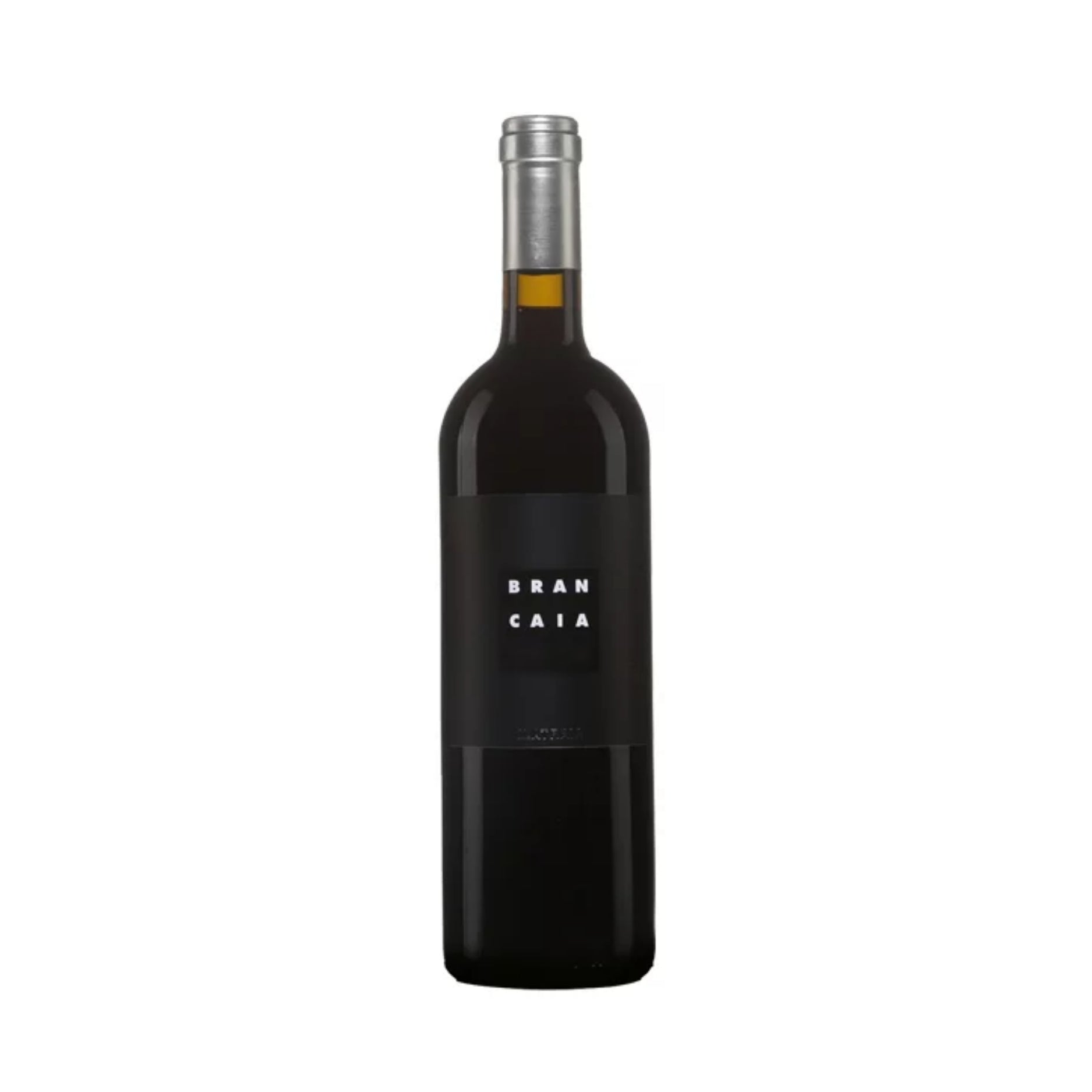 BRANCAIA IN MAREMMA - ILATRAIA          