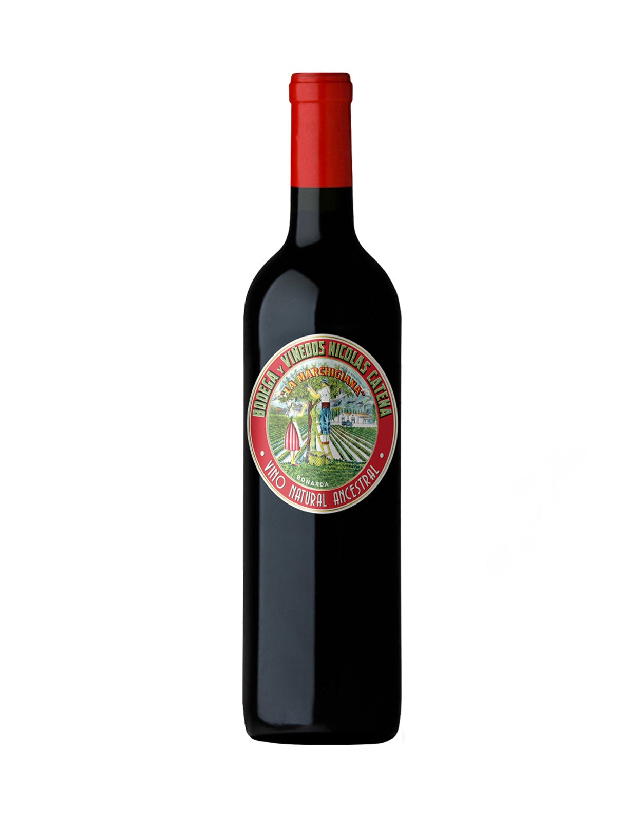 CATENA LA MARCHIGIANA BONARDA           