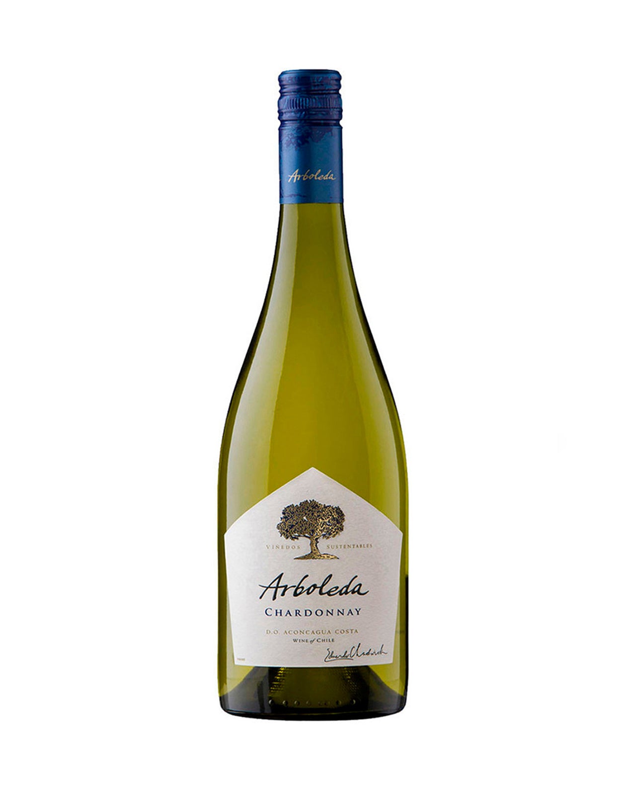 ARBOLEDA CHARDONNAY                     