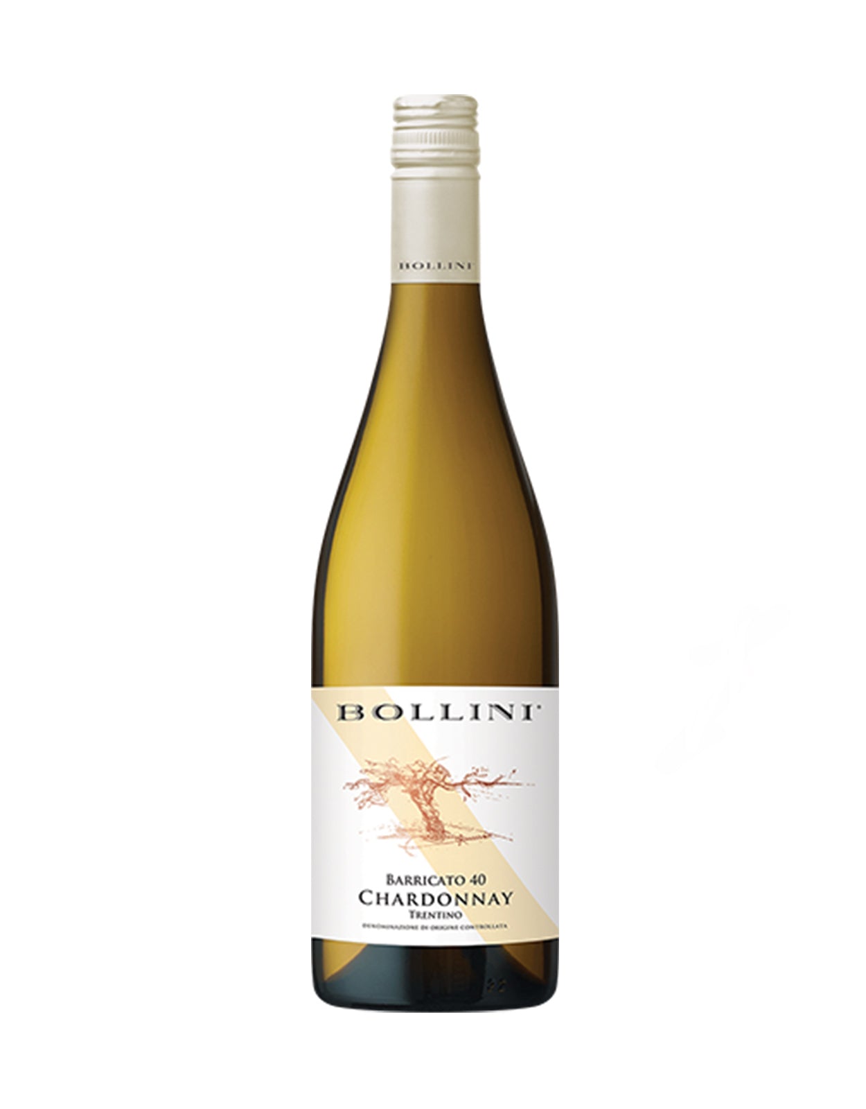 BOLLINI BARRICATO CHARDONNAY            