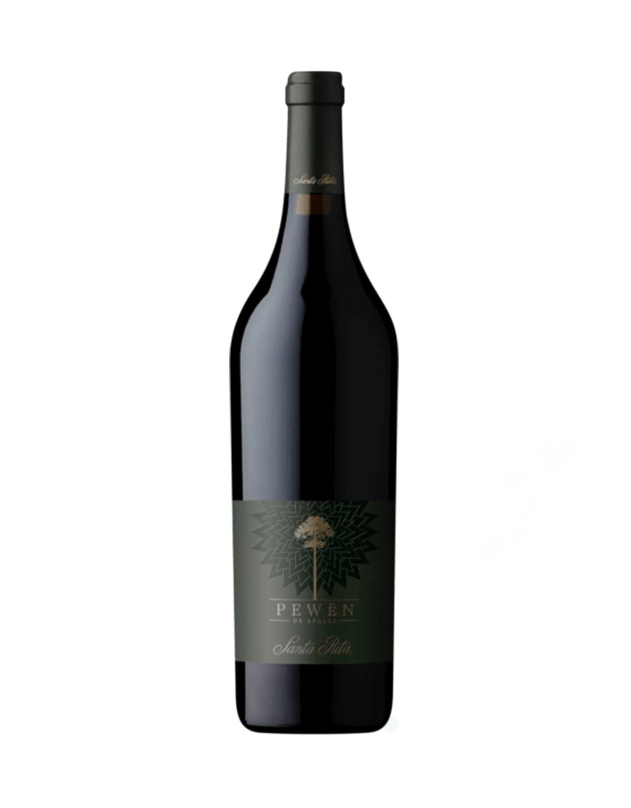 VINA SANTA RITA PEWEN                   