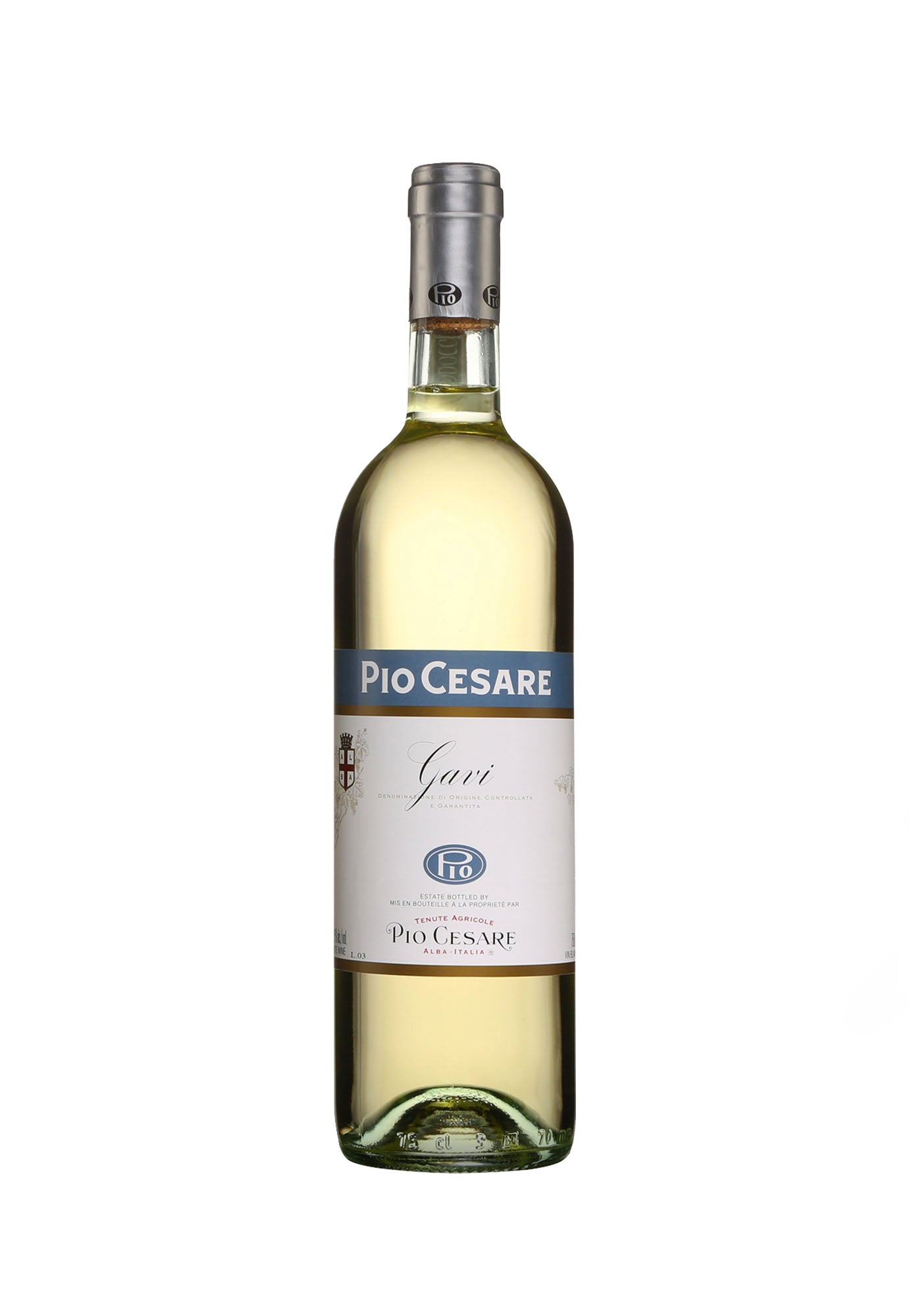 PIO GAVI                                