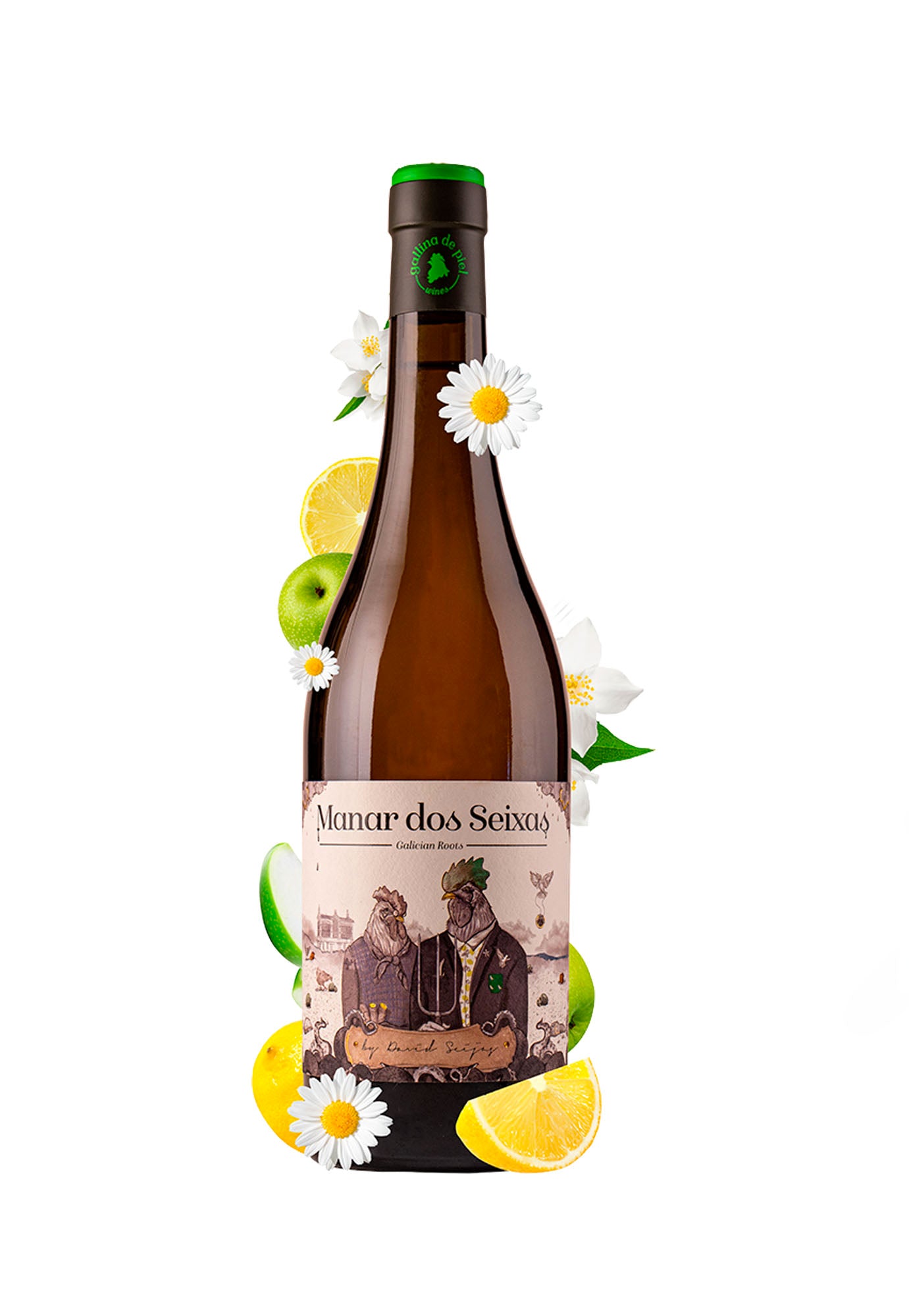 GALLINA DE PIEL MANAR DOS SEIXAS        