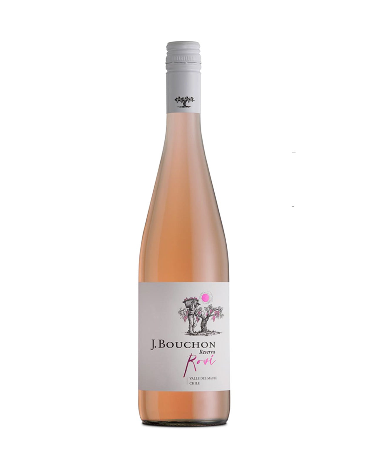 J. BOUCHON ROSE                         