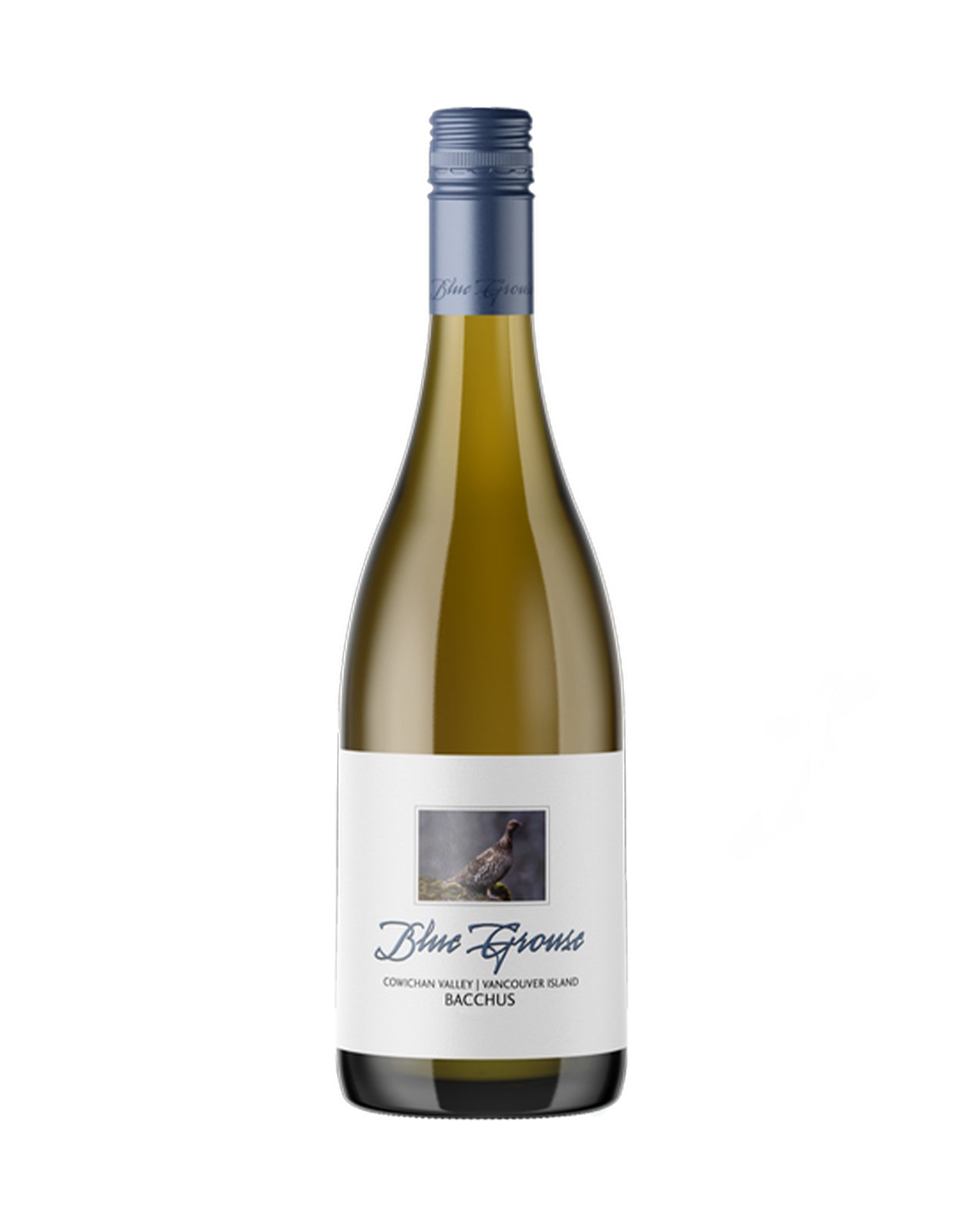 BLUE GROUSE CHARDONNAY 2024             