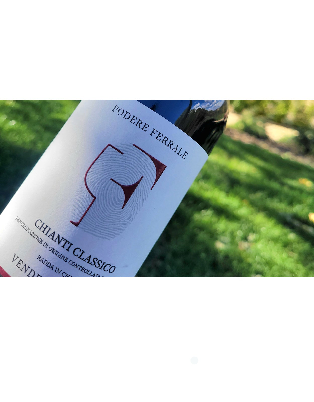 PODERE FERRALE CHIANTI CLASSICO DOCG    