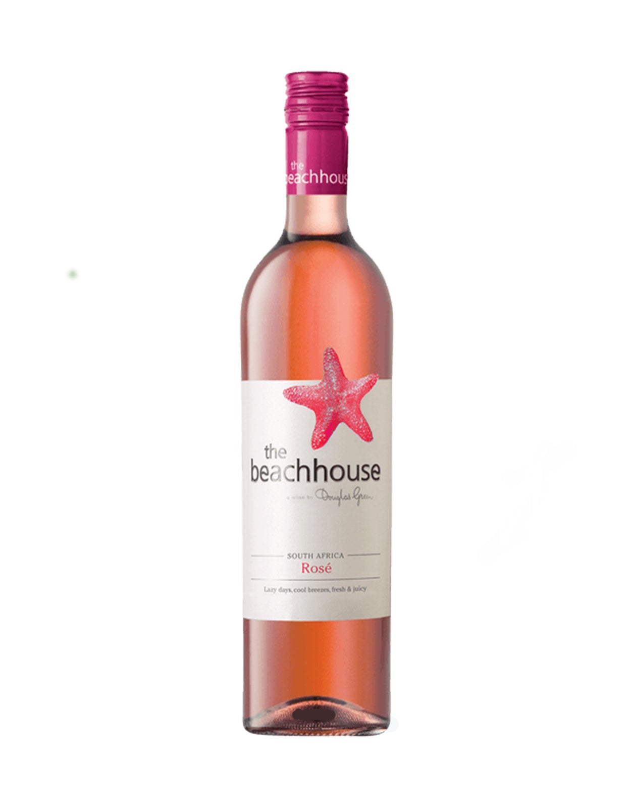 THE BEACH HOUSE ROSE                    