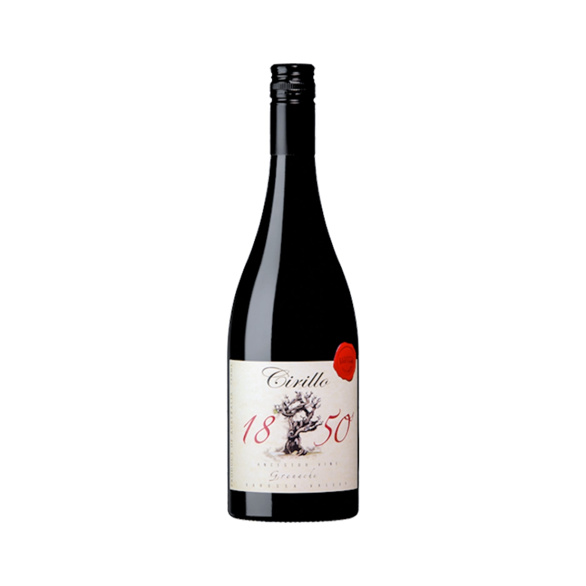 CIRILLO 1850 ANCESTOR VINE GRENACHE     