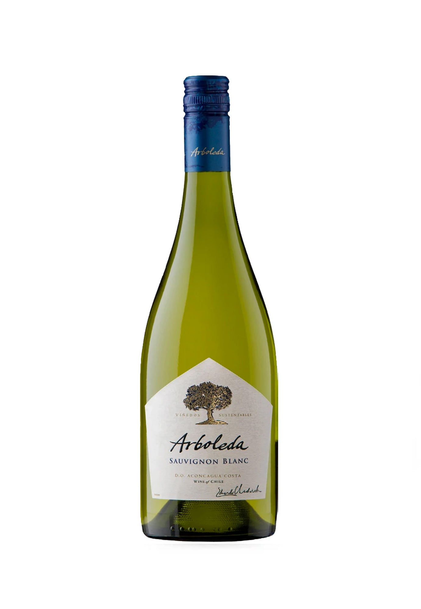 ARBOLEDA SAUVIGNON BLANC                