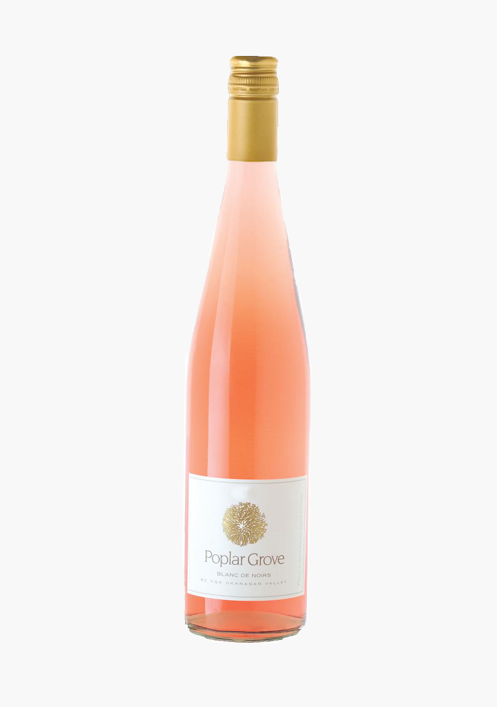 POPLAR GROVE ROSE                       
