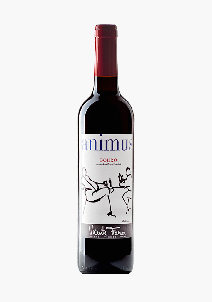 ANIMUS TINTO                            