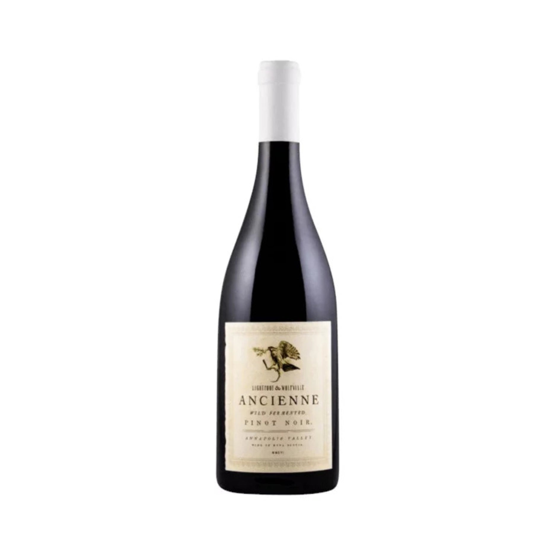 LIGHTFOOT&WOLFVILLE ANCIENNE PINOT NOIR 