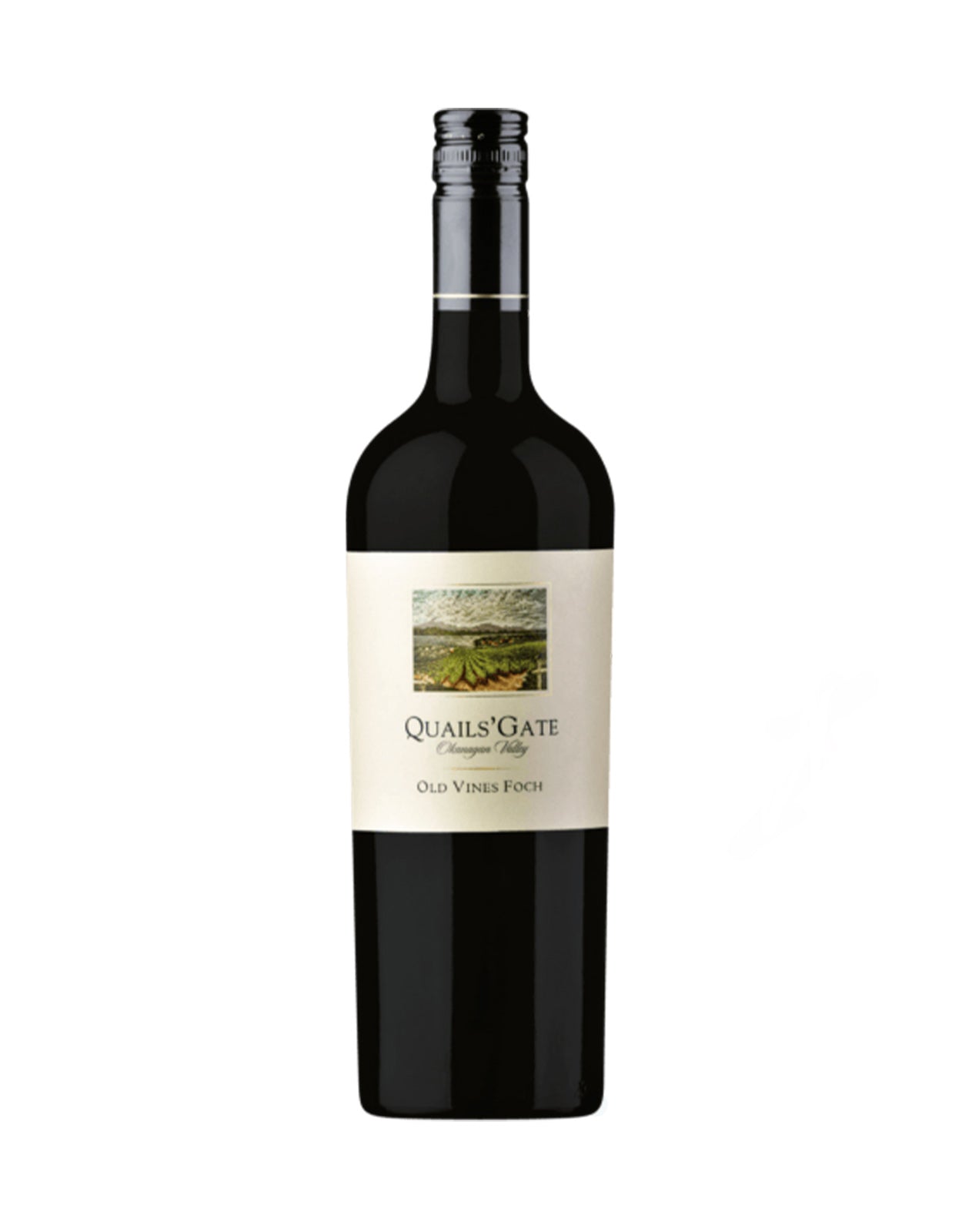 QUAILS GATE OLD VINES FOCH              