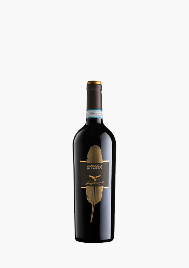 CAMPAGNOLA VALPOLICELLA                 