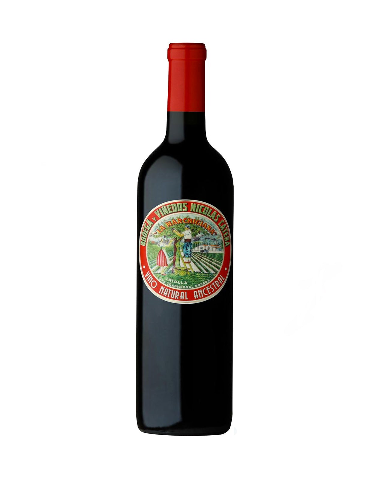CATENA LA MARCHIGIANA CRIOLLA CHICA     