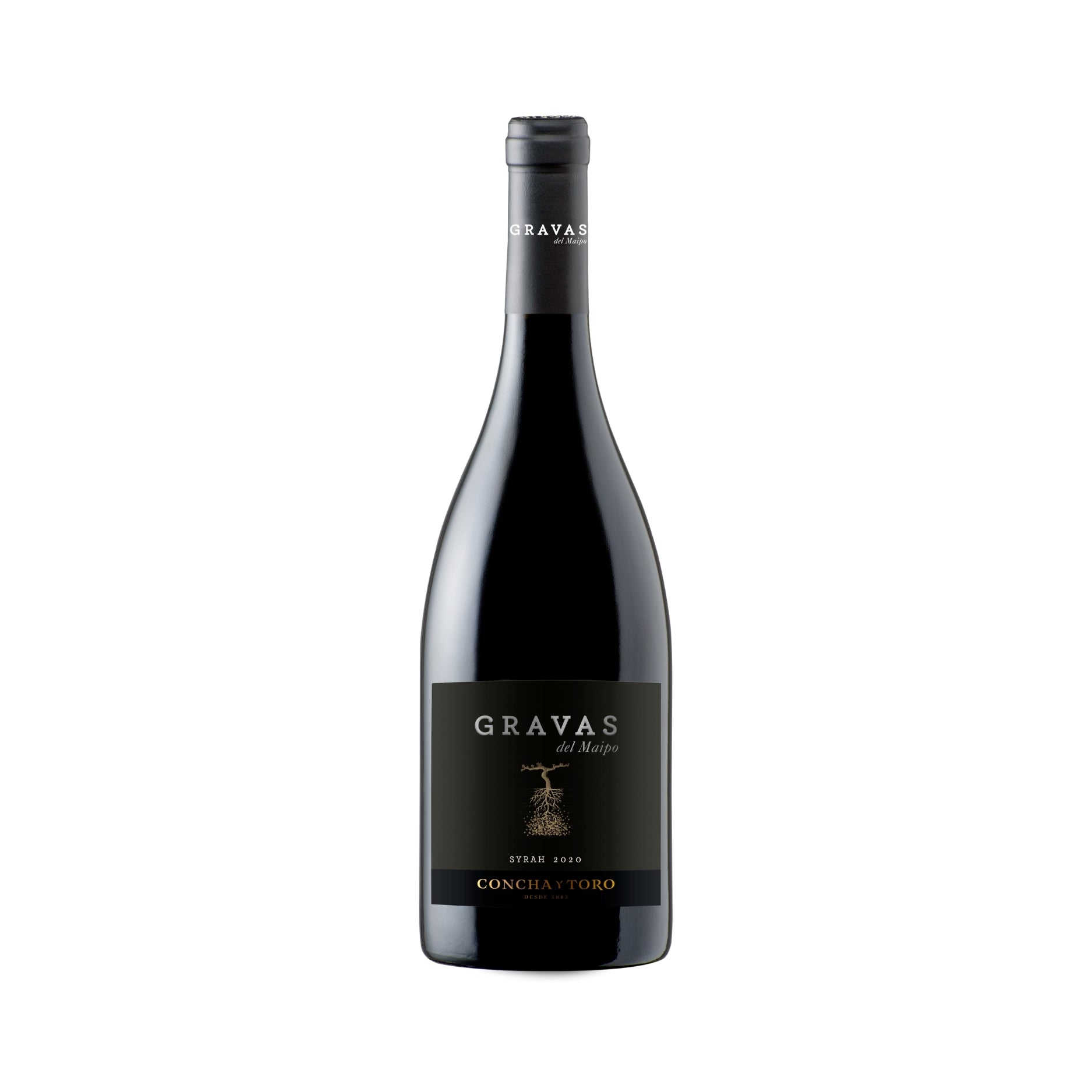 GRAVAS DEL MAIPO                        