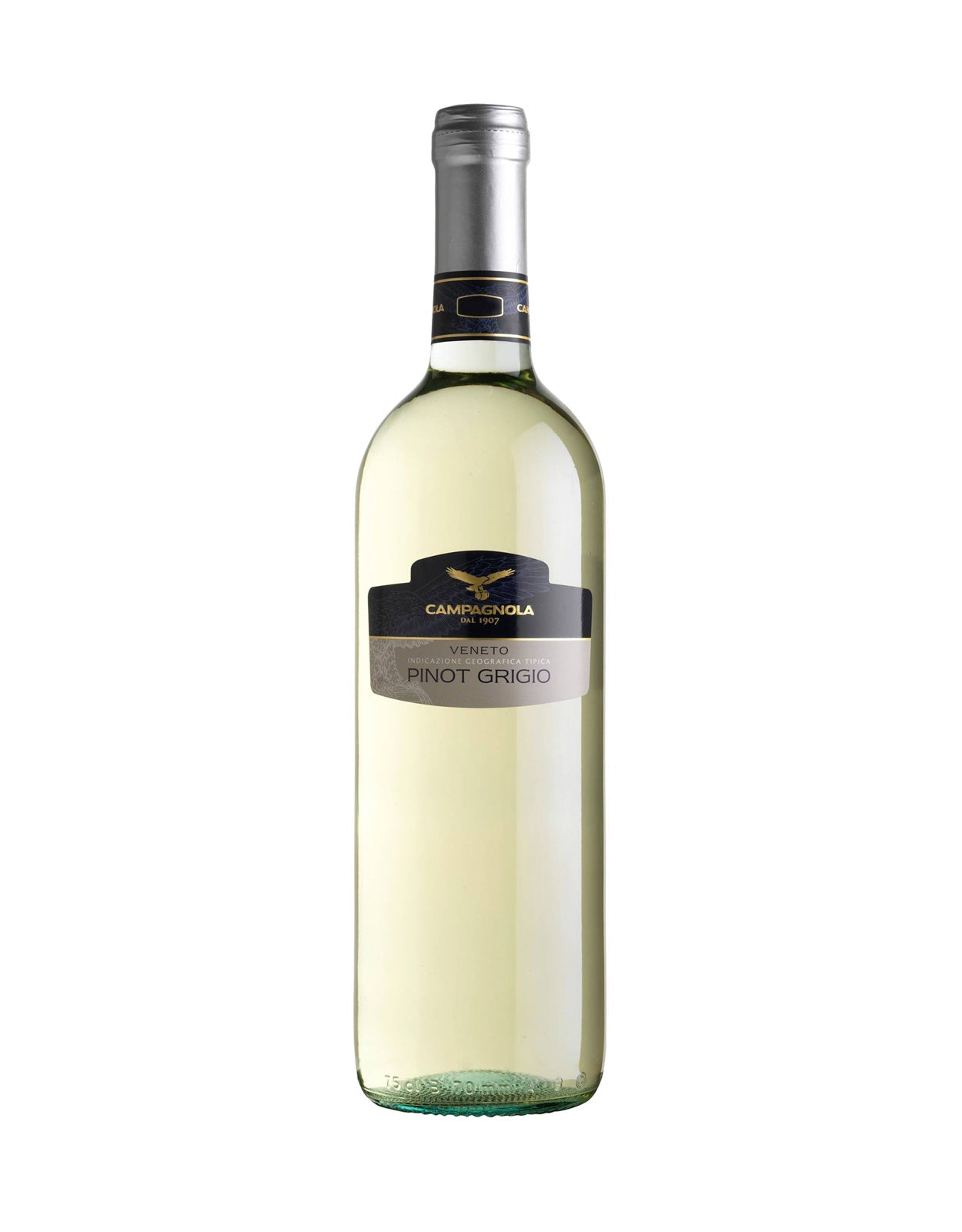 CAMPAGNOLA PINOT GRIGIO IGT VENETO      